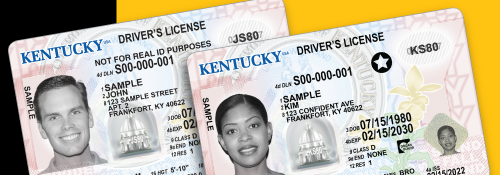 Drivers License And ID Card Online Renewal DRIVE