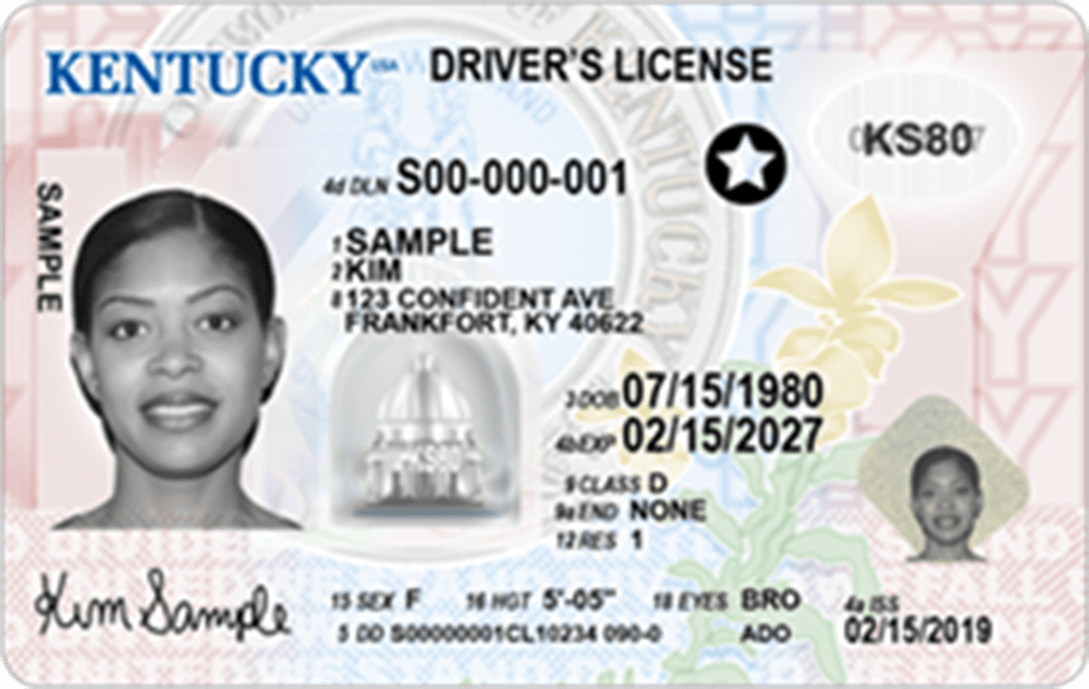 REAL ID Vs Standard ID DRIVE