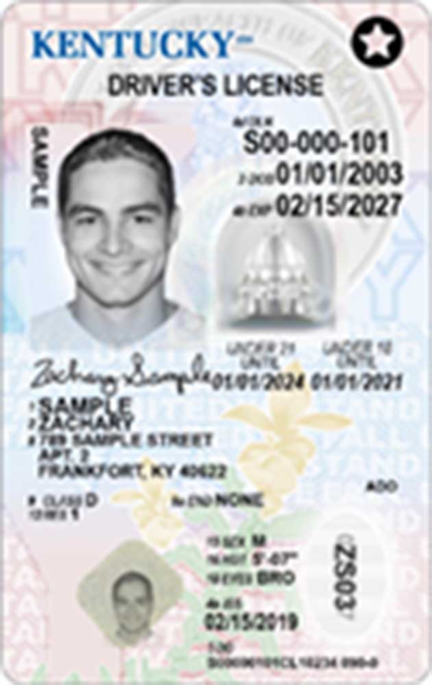 example of an under 21 driver's license