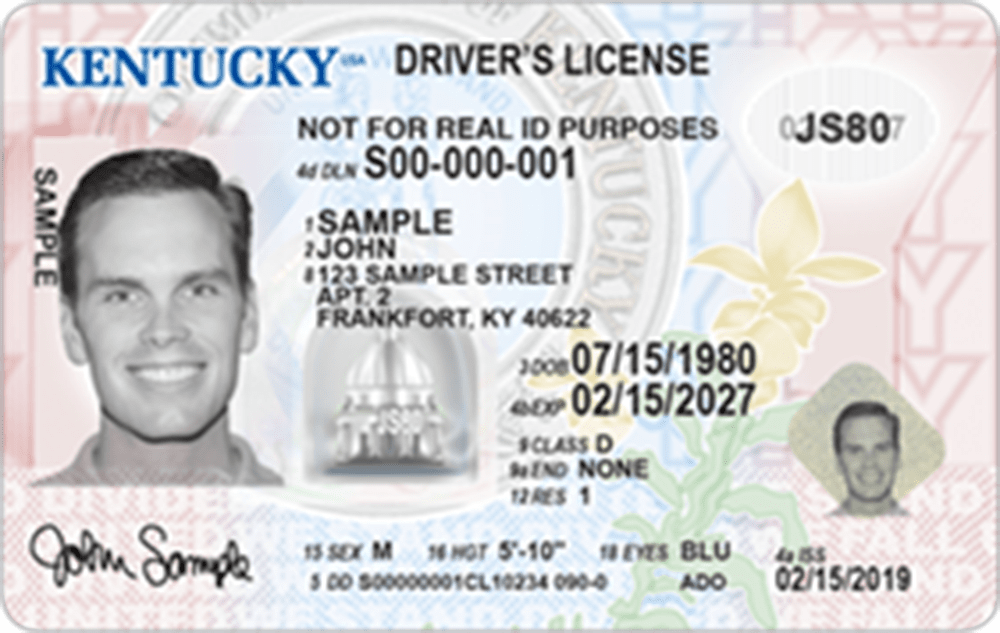 Standard Driver's License