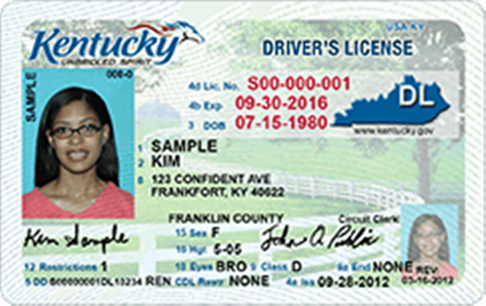 REAL ID Vs Standard ID DRIVE